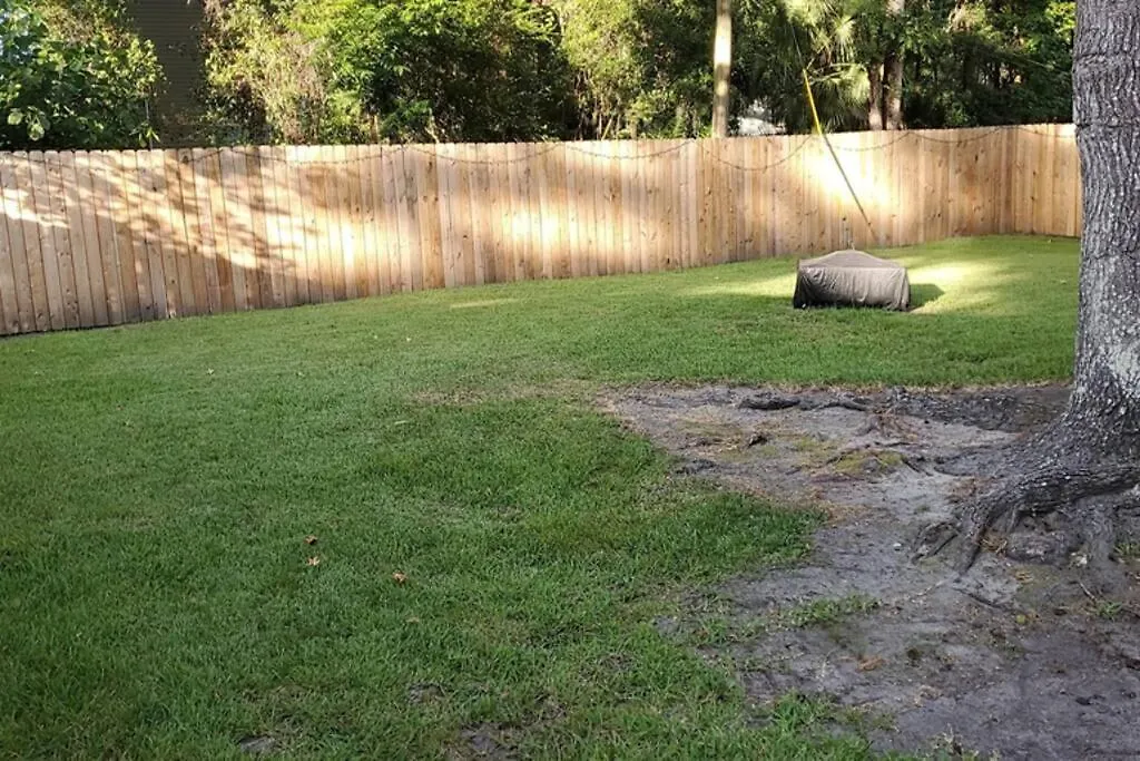Southern Charm Vacation Rental Savannah United States
